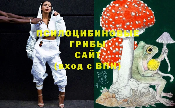 apvp Нефтекумск