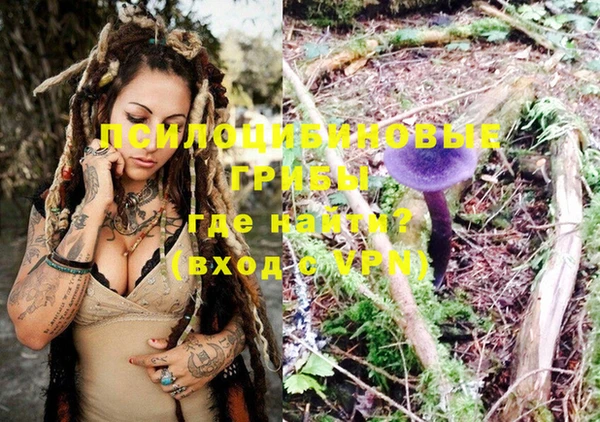 гашик Нефтегорск
