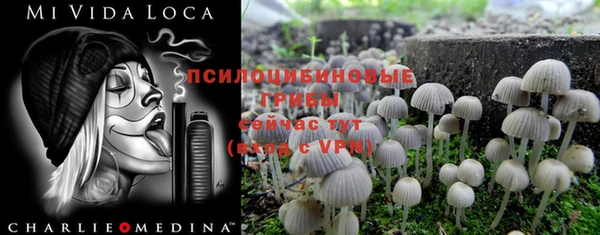 скорость Нея