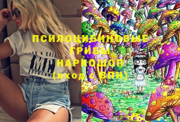 apvp Нефтекумск